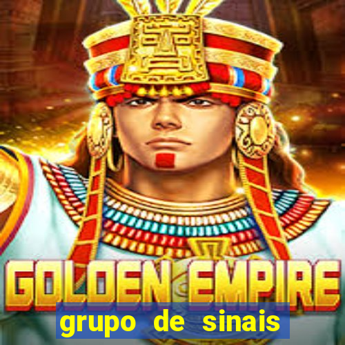 grupo de sinais trader telegram